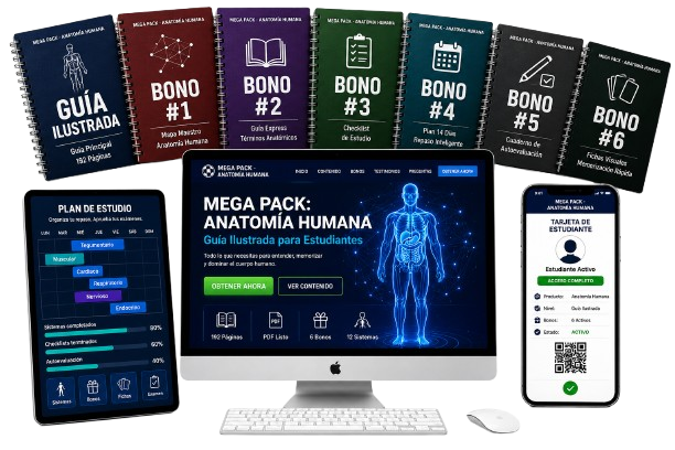 Pack Anatomia Humana : Guia Ilustrada para Estudiantes